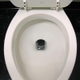 Illustration for article titled 855,000 Phones Dropped in UK Toilets Yearly